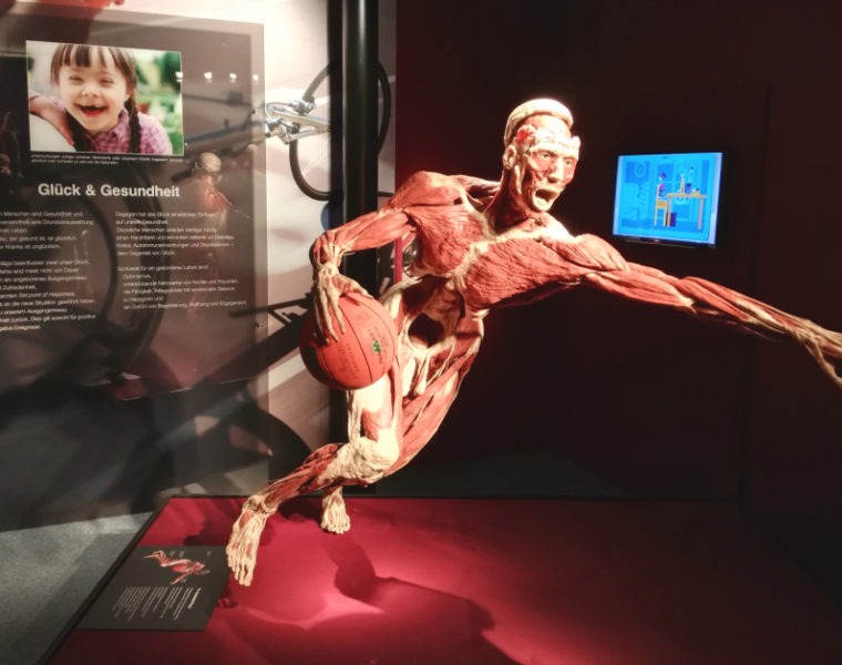 koerperwelten-heidelberg-basketballer